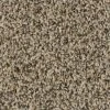 Fireworks II - Color Explosion Indoor 12 ft. Texture Multi-Colored Carpet (1080 sq. ft. / Roll) by TrafficMaster -TrafficMaster Sales explosion trafficmaster roll carpet h2010 106 1200 64 1000