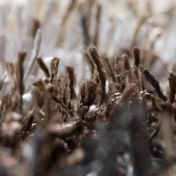 Verona 9 Khaki 5 FT. 3 IN. X 7 FT. 7 IN. Area Rug by Addison Rugs -TrafficMaster Sales khaki addison rugs area rugs hdvc9kh5x8 fa 1000