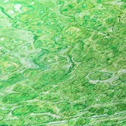 Copeland Lime 1 ft. 8 in. x 2 ft. 6 in. Abstract Accent Rug by Addison Rugs -TrafficMaster Sales lime addison rugs area rugs hdkc5lm20x30 4f 1000