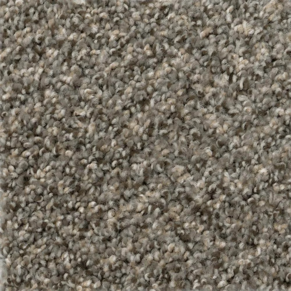 Gallop - Color Maverick Indoor 12 ft. Texture Gray Carpet (1080 sq. ft./Roll) by TrafficMaster 3 Gallop - Color Maverick Indoor 12 ft. Texture Gray Carpet (1080 sq. ft./Roll) by TrafficMaster