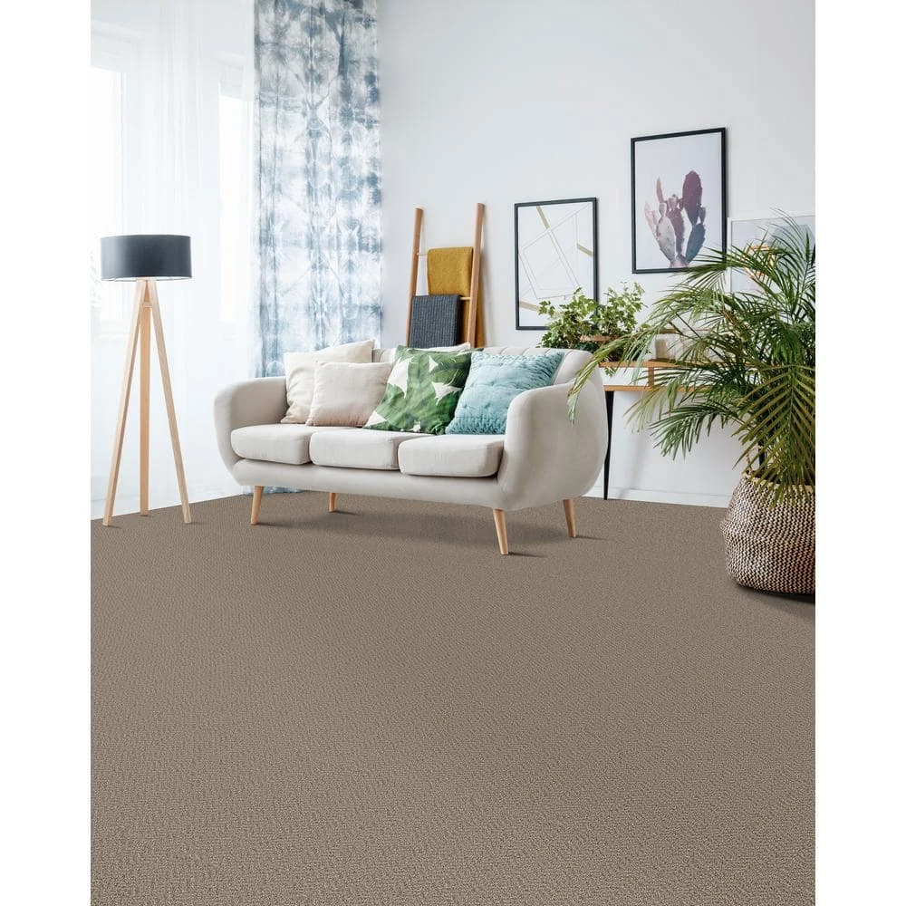 Gallop - Color Maverick Indoor 12 ft. Texture Gray Carpet (1080 sq. ft./Roll) by TrafficMaster 4 Gallop - Color Maverick Indoor 12 ft. Texture Gray Carpet (1080 sq. ft./Roll) by TrafficMaster - Image 2