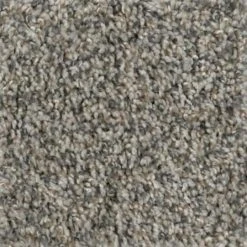 Prancer - Color Woodland Indoor 12 ft. Texture Beige Carpet (1080 sq. ft./Roll) by TrafficMaster -TrafficMaster Sales woodland trafficmaster roll carpet h2036 267 1200 c3 1000